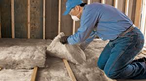 Best Insulation for New Construction  in Geronimo, OK